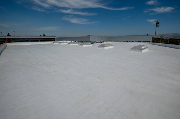 Best Storm Damage Roof Repair  in Tennessee Ridge, TN