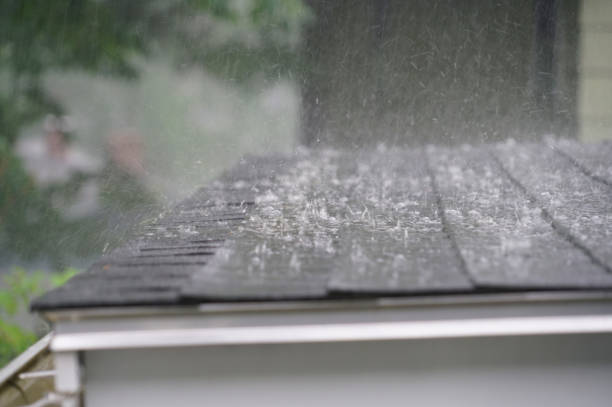 Best Roof Maintenance and Cleaning  in Tennessee Ridge, TN