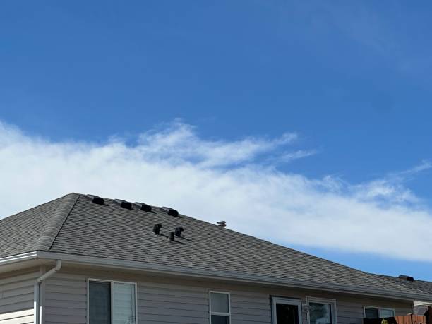 Best Commercial Roofing Services  in Tennessee Ridge, TN